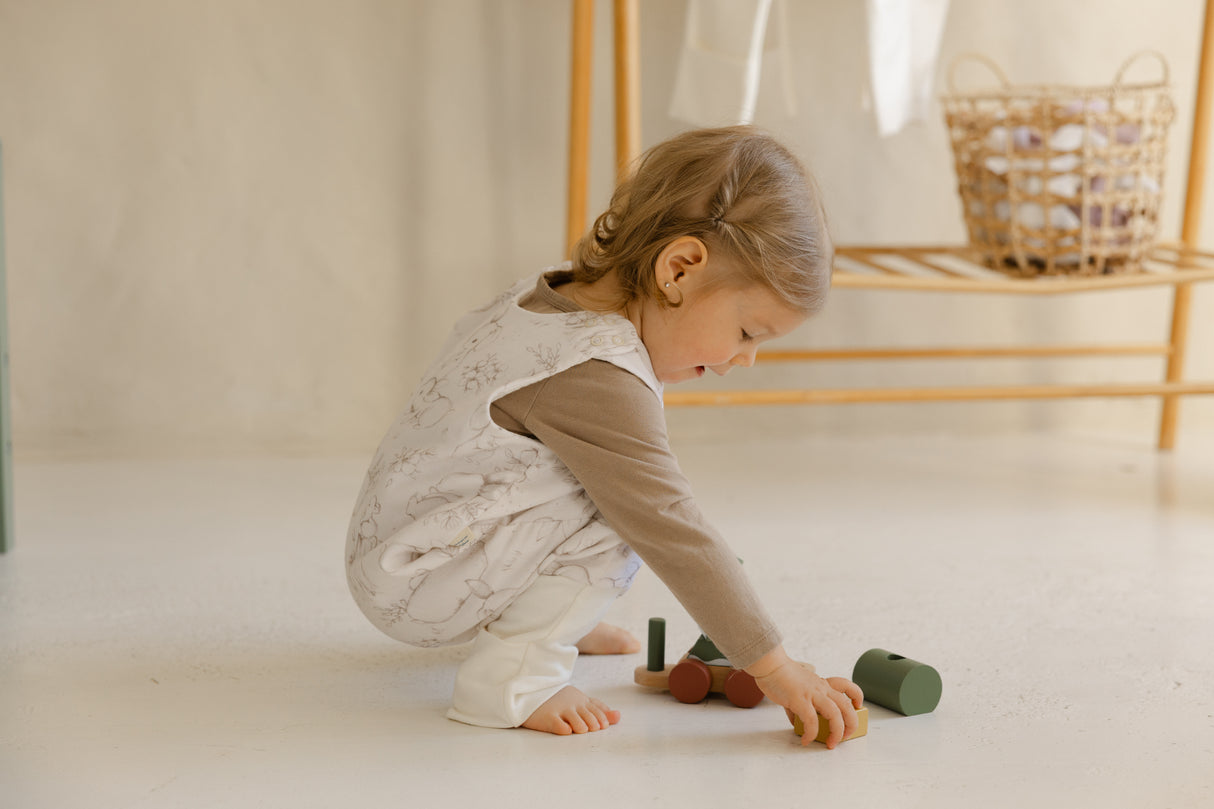 Wander · Sleeping Bag For Toddlers