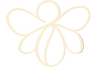 Product image with a clear background